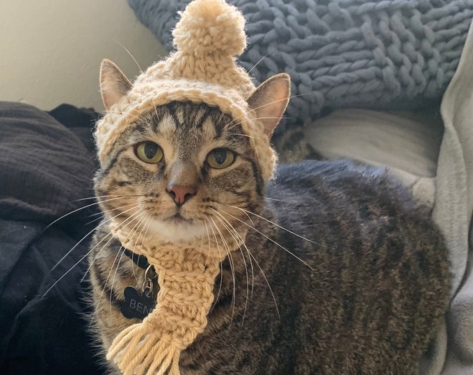 Crochet Hat and Scarf Set for Pets
