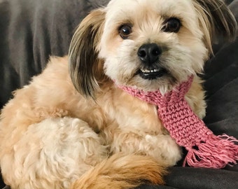 Dog Scarf, Cat Scarf, Cute Winter Scarf for Dogs and Cats, Crochet Pet Scarf, Cozy Winter Scarf for Cats and Dogs