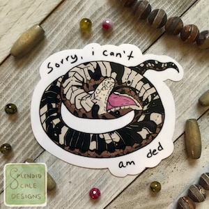 Hognose Snake Dramatic Playing Dead Funny Reptile Vinyl Sticker
