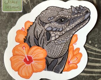 Rhinoceros Iguana with Hibiscus Flowers Reptile Sticker