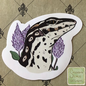 May include: A sticker featuring a black and white lizard with a spotted pattern, surrounded by purple flowers. The sticker has a white background and the text "Splendid Scale Designs" in the bottom right corner.