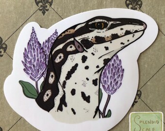 Ackie Monitor Lizard with Purple Mulla Mulla Flowers Reptile Sticker