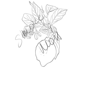Lemon love: hand drawn line art for a fresh look; digital illustration for wedding decor, branding, tattoo