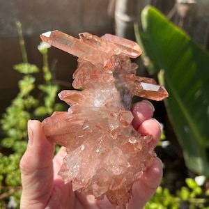May include: A cluster of pink and clear quartz crystals with a rough, natural texture. The crystals are arranged in a cluster, with some pointing upwards and others pointing downwards. The crystals are translucent and have a slight pink hue.