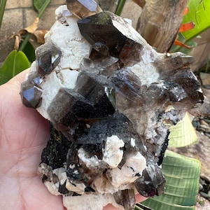 Smokey Quartz Crystal Cluster From Malawi Dark Deep Morion Brown on Feldspar