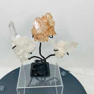Tangerine Quartz Quartz Crystal Spiral Tree Comes with 3 Crystals