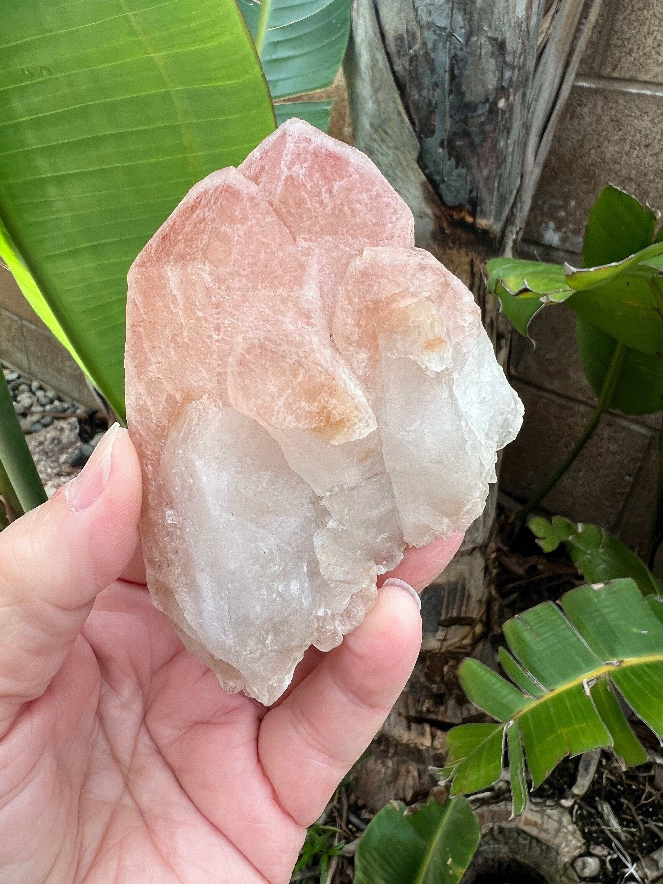 ドリームシクルレムリアンシード クラスター ドリームシクルレムリアンシード - 天然石パワーストーン