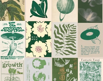 Puede incluir: Un collage de nueve imágenes con un esquema de color verde. Las imágenes incluyen una planta, una figura humana estilizada, un planeta con anillos, una mariposa, un patrón floral, un helecho, una mano sosteniendo un disco, una ilustración de hongo y una ilustración de pez con texto japonés.