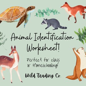 Animal Identification Worksheets for Kids!