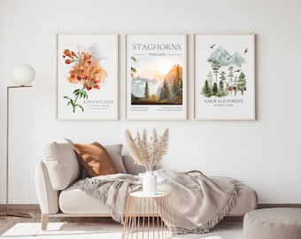 Throne of Glass Wall Art Bundle, Official SJM Merchandise, Terrasen, Aelin, Celaena Sardothien, Staghorn Mountains, Oakwald Forest