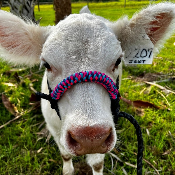 Cattle Rope Halter