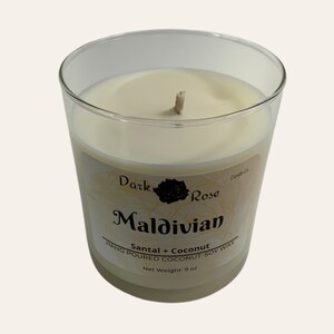 Santal Cinnamon Soy Candle | 9 oz Tumbler Jar Candle | Sandalwood Candle | Summer Coconut-Soy Candle | Candle in Jar | Vegan Candle Gift