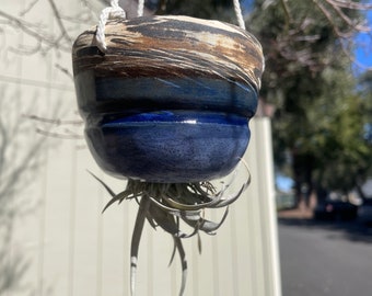 Air Plant Hanger