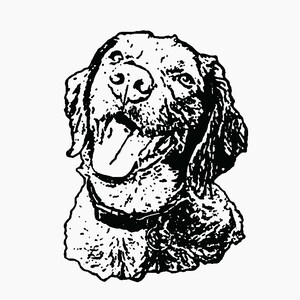 Custom digital download of your Pet!