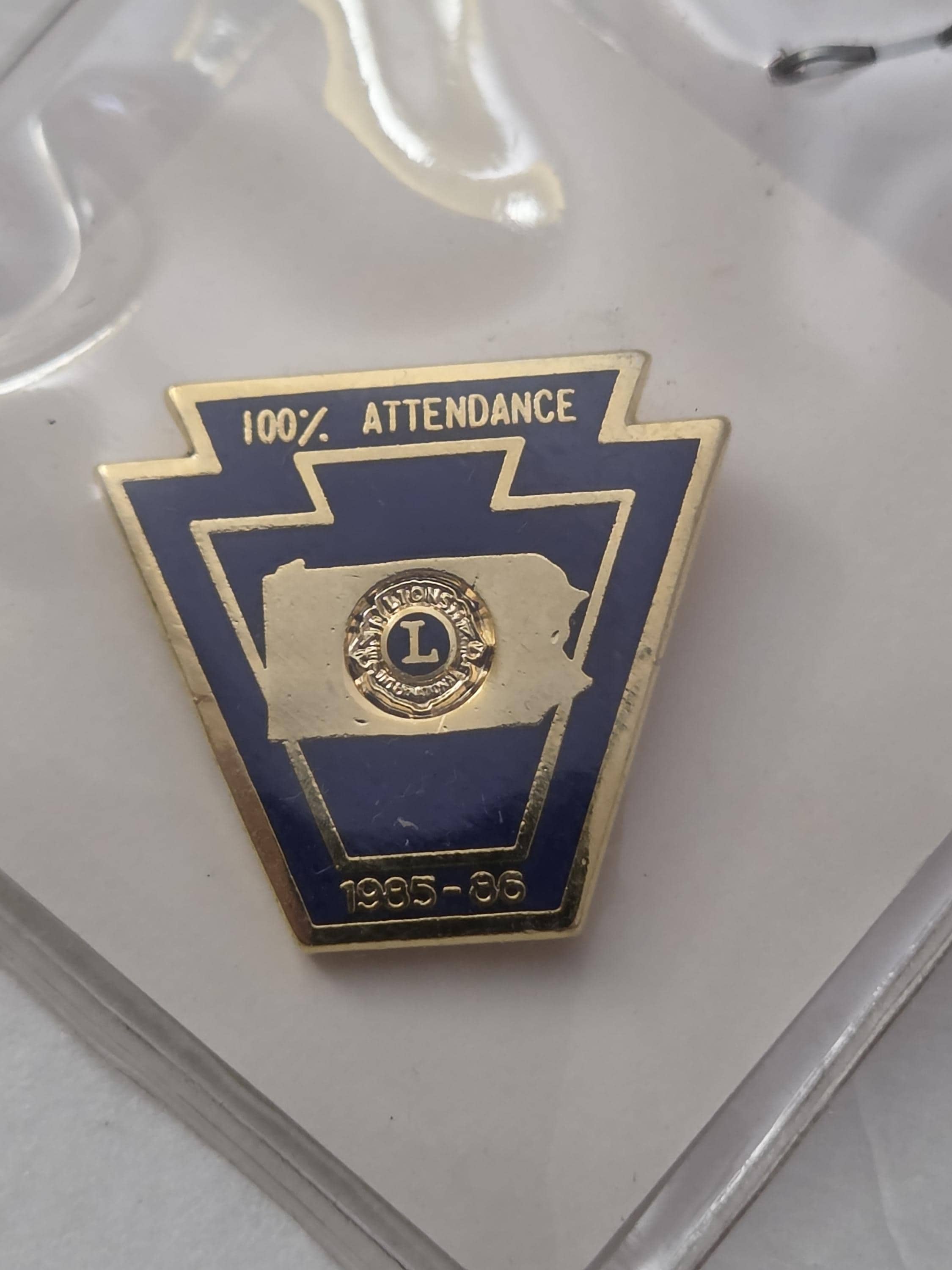Lions Attendance Pin - Etsy