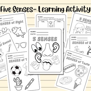 8 Pages of Five Senses Worksheets. Preschool Worksheets. Preschool Activities. Kindergarten. Toddler. Printable. Instant Download.
