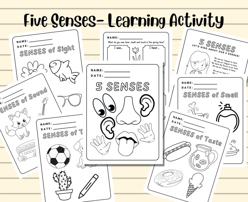8 Pages of Five Senses Worksheets. Preschool Worksheets. Preschool ...