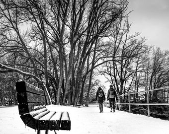 Oak Bay Bench