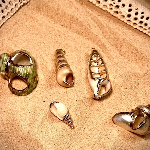 Mix Natural Seashell Gold Plated Crafts Handmade Ornaments For Pendant DIY Jewelry Home Decoration 5pcs 20-40mm