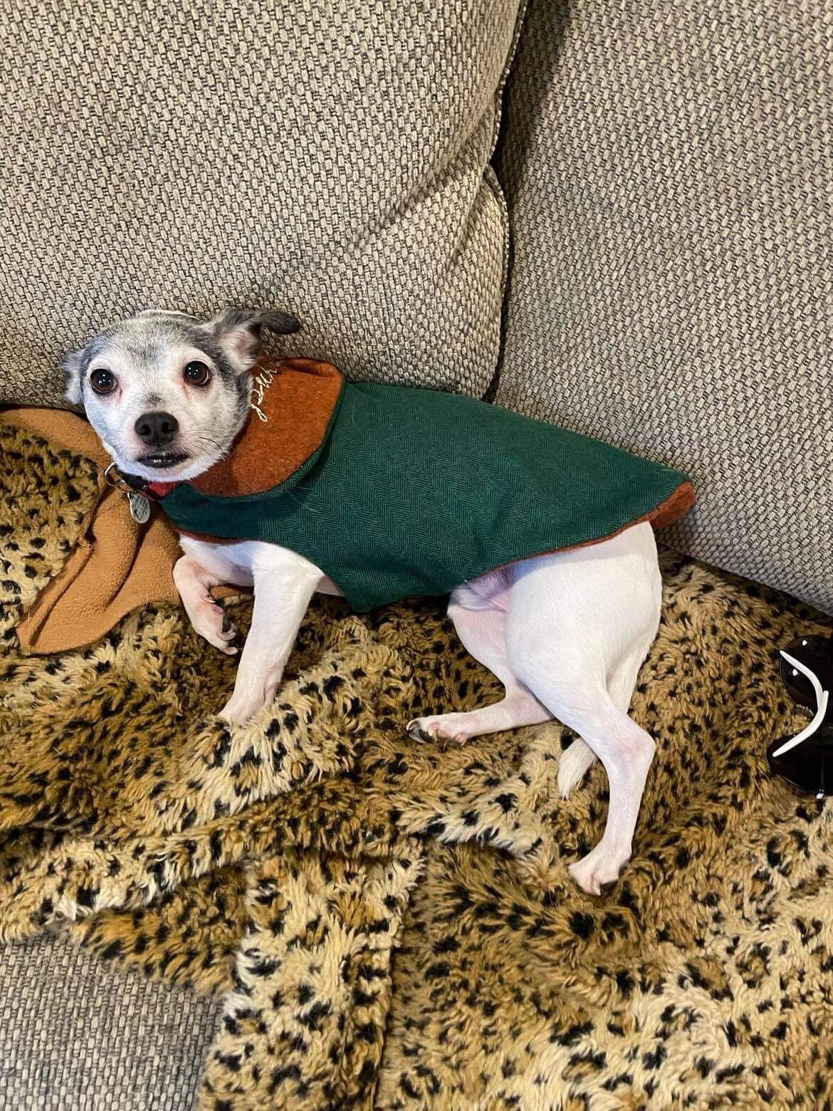 Custom Dog Clothing Made to Order Pet Clothes Etsy