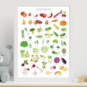 Gemüse Poster, Montessori Poster, Lernposter