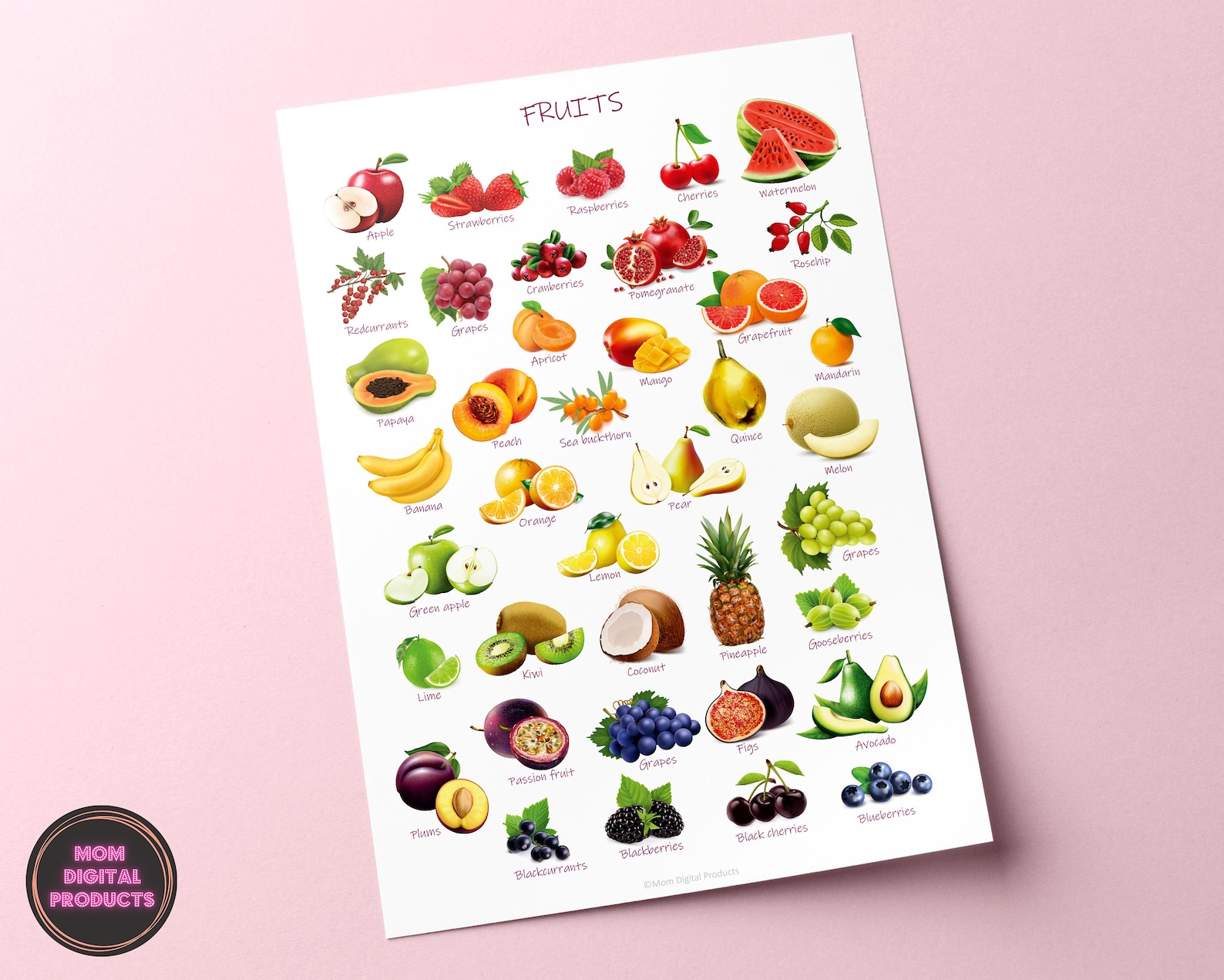 Rainbow Fruits Poster, Montessori Educational Print (digital Download ...