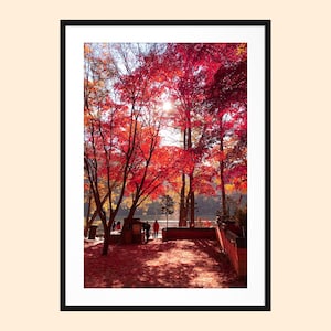 Seoul Südkorea Print, Südkorea Wandkunst, Herbst Print, Foto Wand Kunst Druck, Reisefotografie, Südkorea Reise Poster