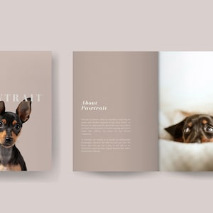 Pacote de informações de 10 páginas para fotografia de animais de estimação, pacotes, lista de preços, tabela de preços