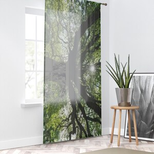 Sunlit Tree Canopy Window Curtain | Forest Branches Nature Print