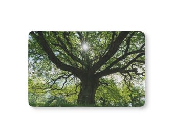 Lenzuolo per culla con motivo quercia illuminata dal sole | Biancheria da letto per cameretta con motivo chioma di alberi