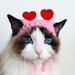 see more listings in the pet hat section