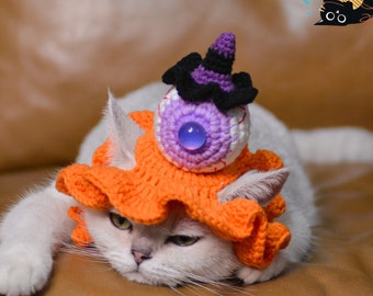 Enchanting Halloween Pet Hat: Crochet Eyeball & Mini Witch Hat