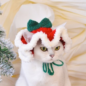 May include: A white cat wearing a red and white crocheted Santa hat with a green bow. The cat is looking at the camera with a serious expression.