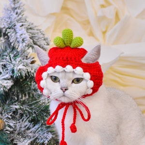 Adorable red Carrot Pet Hat for Festive Furry Friends