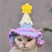 see more listings in the pet hat section