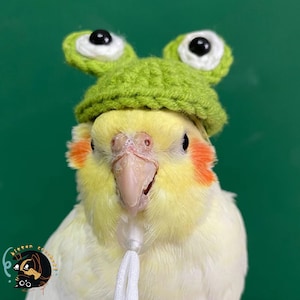 crochet hat for Parrot or bird, Crochet frog Hat, Crochet rabbit hat, crochet bear hat, bird accessories，Hamster hat，Gerbil hat，Rodent hat