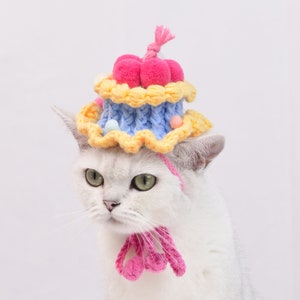 Whisker Wonderland: Festive Blue Pet Cake Hat for Christmas Birthdays!