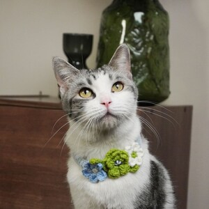 May include: A grey and white cat wearing a crocheted flower collar with blue and green flowers. The cat is looking up with its mouth slightly open.