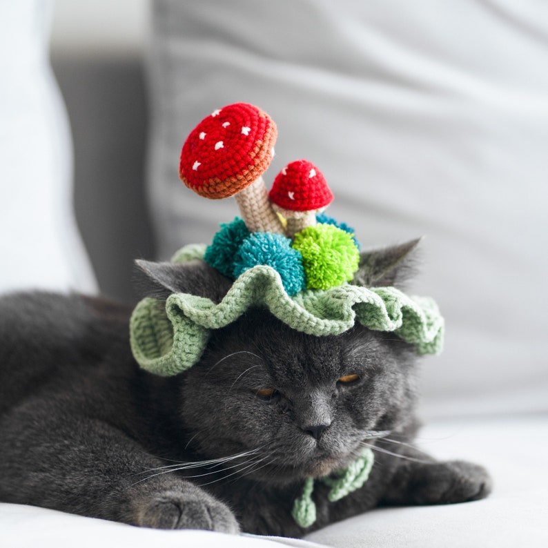 Crochet mushroom hat for Cat or small dog, Adorable Green Pet Hat with Red Mushrooms for Cats and Small Dogs image 5