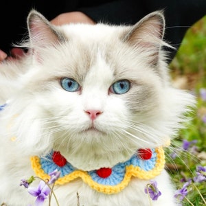 May include: A white cat with blue eyes wearing a colorful crocheted collar with red, yellow, and blue accents. The cat is sitting in a field of purple flowers.