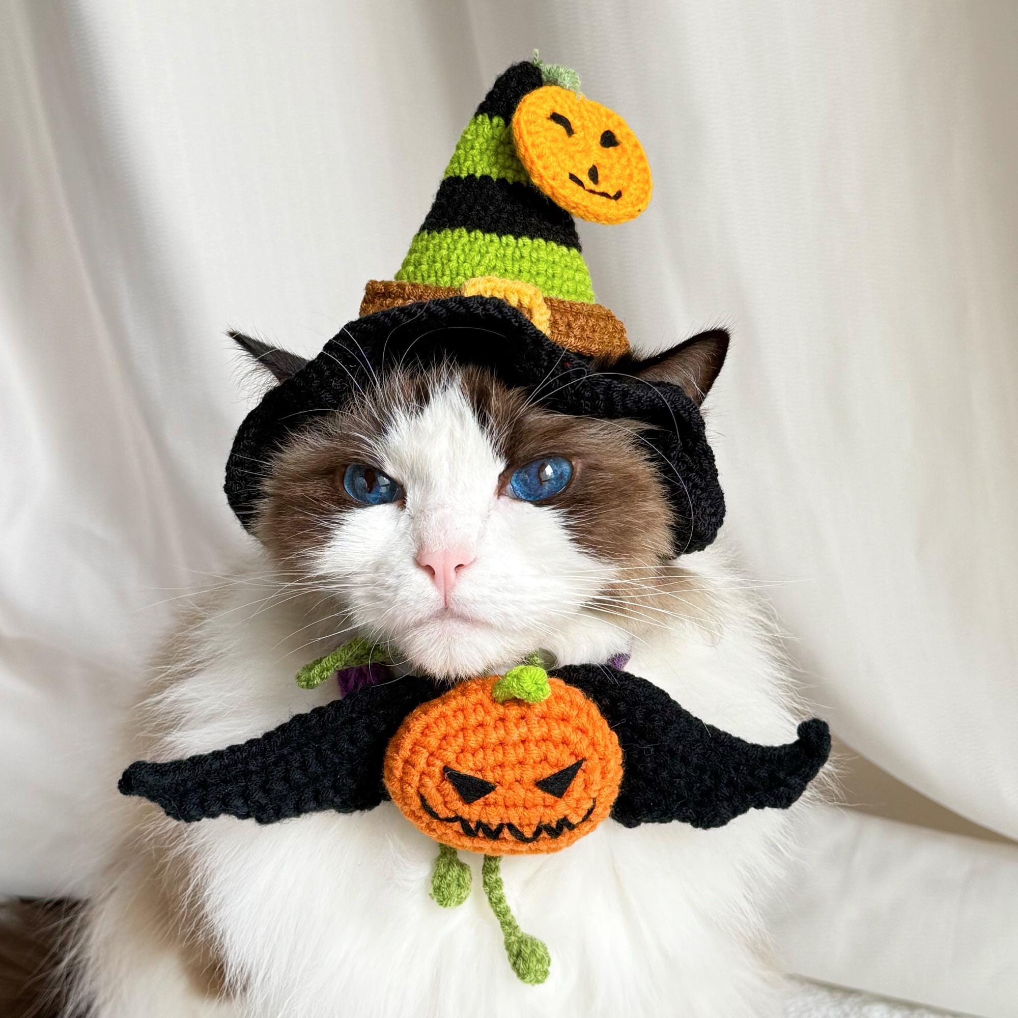 Costume Citrouille Halloween Pour Chien & Chat – Taille Petite/Moyenne/Grande | Doux & Léger | Fêtes