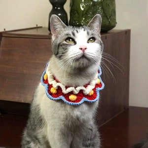 May include: A white and gray cat wearing a colorful crocheted collar with red, yellow, white, and blue accents. The collar has a scalloped edge and a flower design.