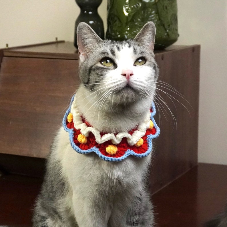 May include: A white and gray cat wearing a colorful crocheted collar with red, yellow, white, and blue accents. The collar has a scalloped edge and a flower design.