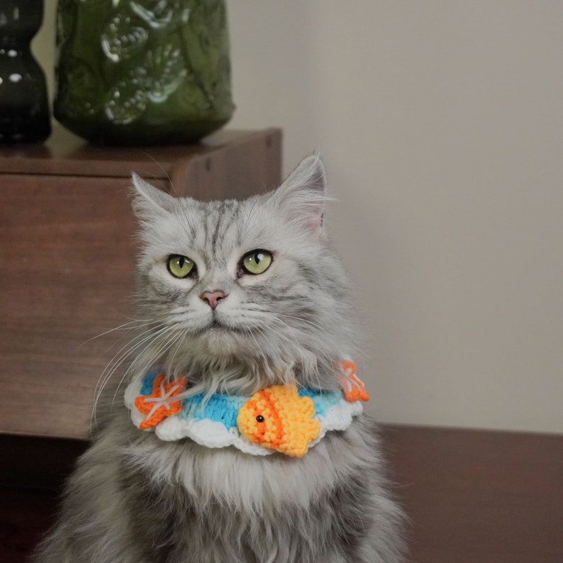 May include: A gray and white cat wearing a crocheted collar with a blue, white, and orange fish design.
