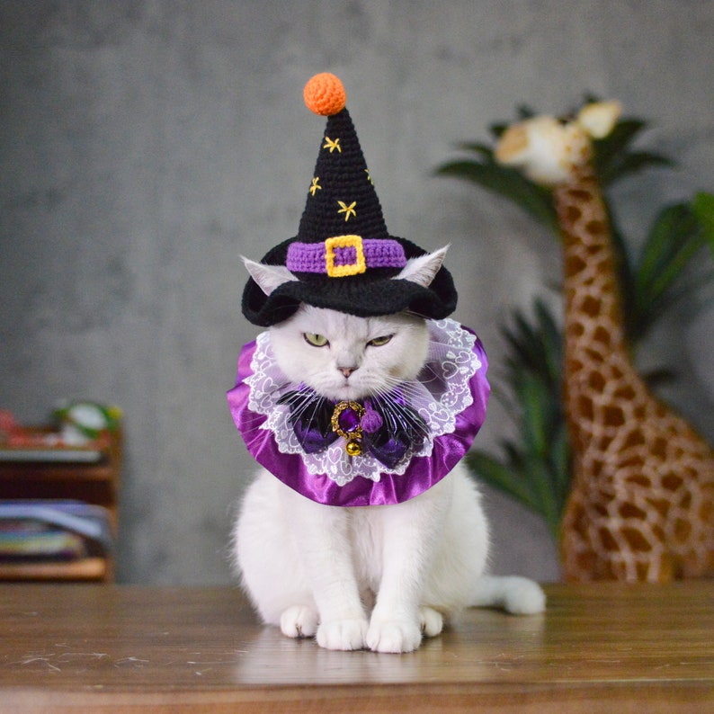 Puede incluir: Un gato blanco con un sombrero de bruja negro con una estrella amarilla y un collar de encaje morado y blanco. El gato est&aacute; mirando a la c&aacute;mara.