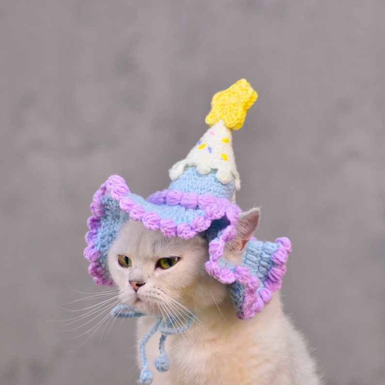 Chapeau d'anniversaire pour animal de compagnie violet crème glacée lunatique image 6