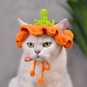 Pumpkin Hat Cat/Festive Orange Crocheted Pet Hat with Playful Eggplant Accent|Christmas Outfit for Cats|Cat Hat Halloween|Cute pet hat