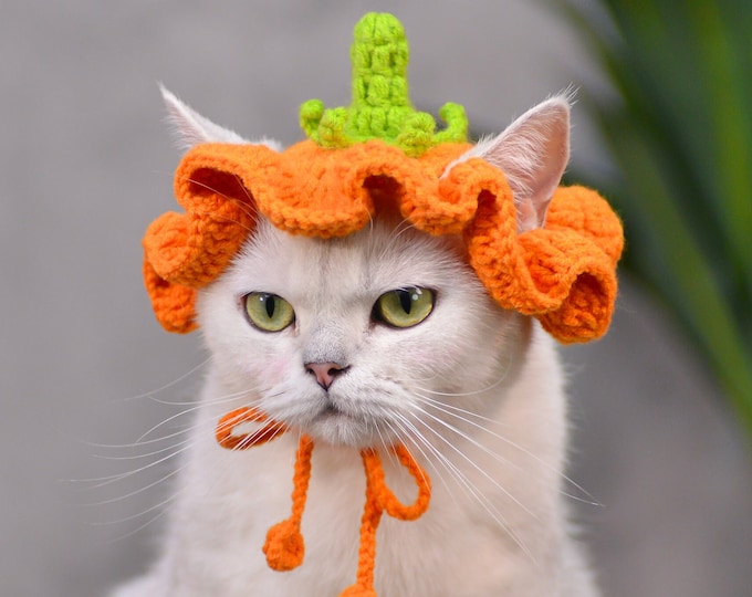 Pumpkin Hat Cat/Festive Orange Crocheted Pet Hat with Playful Eggplant Accent|Christmas Outfit for Cats|Cat Hat Halloween|Cute pet hat