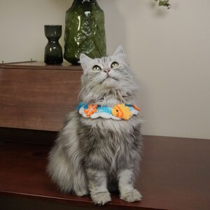 May include: A gray and white cat wearing a blue and orange crocheted collar with a fish design. The cat is sitting on a wooden surface and looking up.