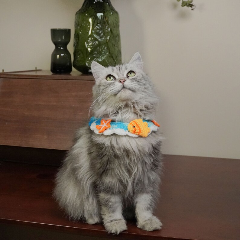 May include: A gray and white cat wearing a blue and orange crocheted collar with a fish design. The cat is sitting on a wooden surface and looking up.